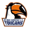 Logo BG Ober-Ramstadt e.V.